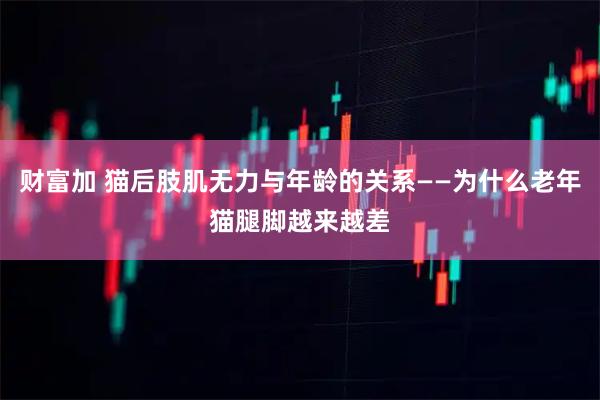 财富加 猫后肢肌无力与年龄的关系——为什么老年猫腿脚越来越差